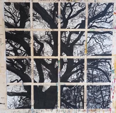 Ham Woods Oak through the Window