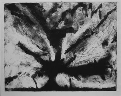 Beech Tree by Kevin Tole, Artist Print, Carborundum