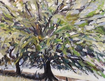 Beech in Summer by Kevin Tole, Painting, Oil on canvas