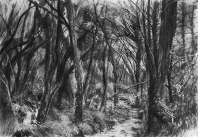 Danescombe Valley Stream by Kevin Tole, Drawing, Beech Charcoal, compressed charcoal, white charcoal