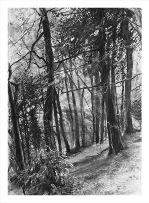 Danescombe Valley Top Path by Kevin Tole, Drawing, Beech charcoal, pastel