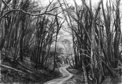 Danescombe Valley, Track to the Mine. by Kevin Tole, Drawing, Various charcoals