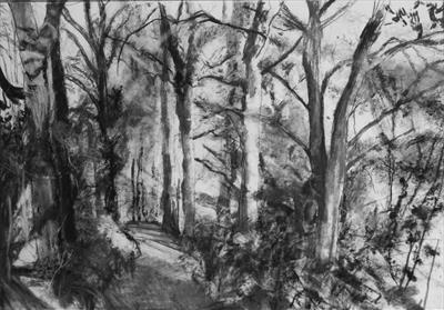 Danescombe Valley, Upper Track to Cotehele by Kevin Tole, Drawing, Various handmade charcoals