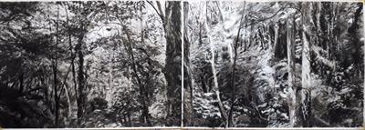 Ham Woods Diptych 1 by Kevin Tole, Drawing, Charcoals, Pastel, Gesso