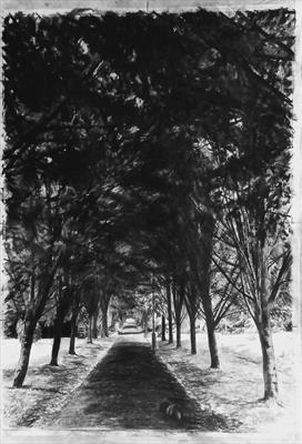 Luna and Lime Avenue, Queens Park by Kevin Tole, Drawing, Various charcoals, pastels