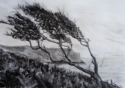 Nare Head Hawthorn by Kevin Tole, Drawing, Mixed Media