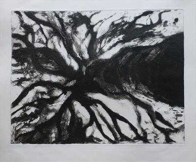 Plane Tree by Kevin Tole, Artist Print, Carborundum